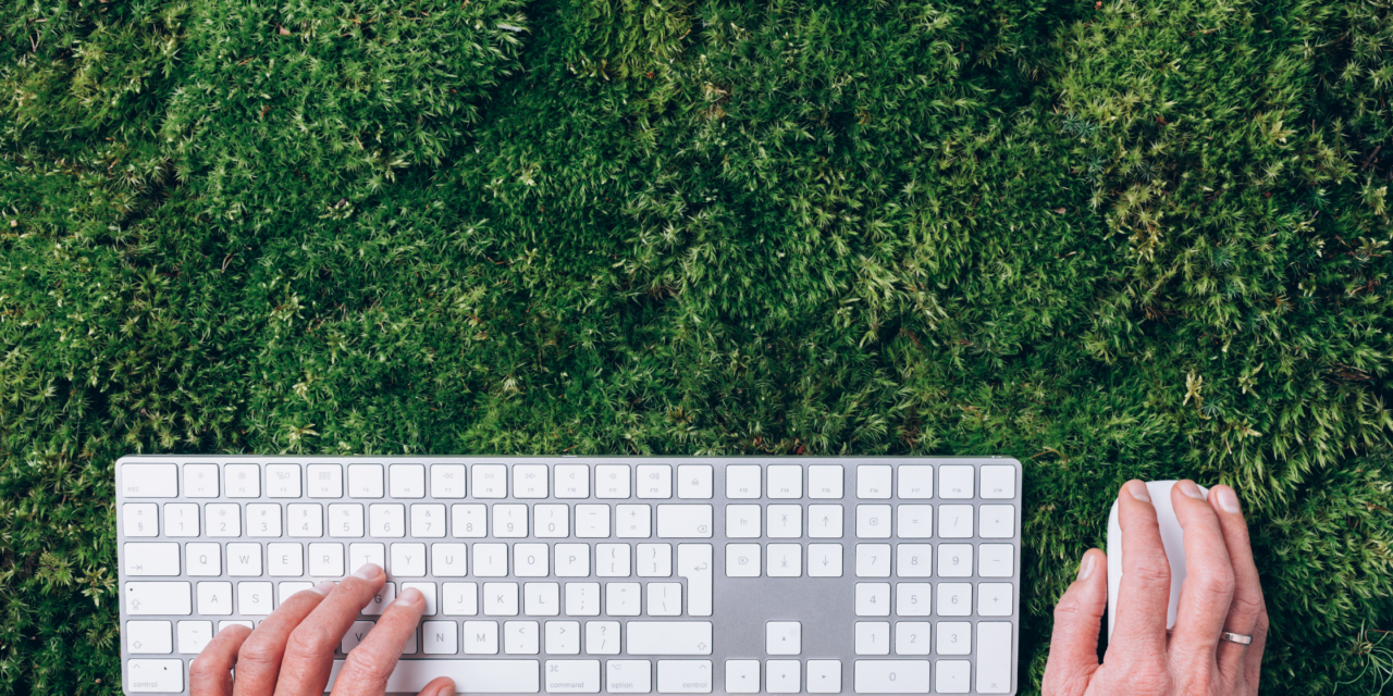El uso de biofilia puede incrementar hasta un 15% la productividad en las oficinas