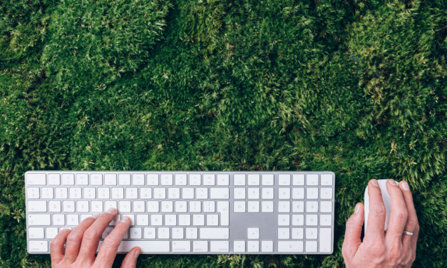 El uso de biofilia puede incrementar hasta un 15% la productividad en las oficinas