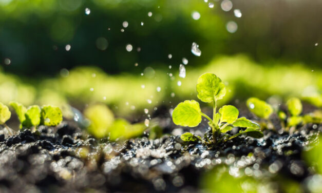Recolección de agua de lluvia: almacenamiento inteligente para hogares y negocios